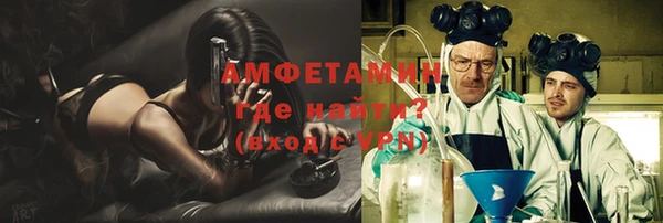 индика Анива