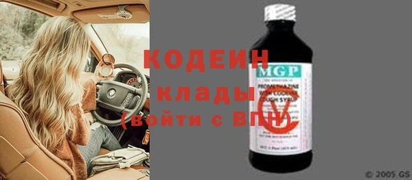 индика Анива