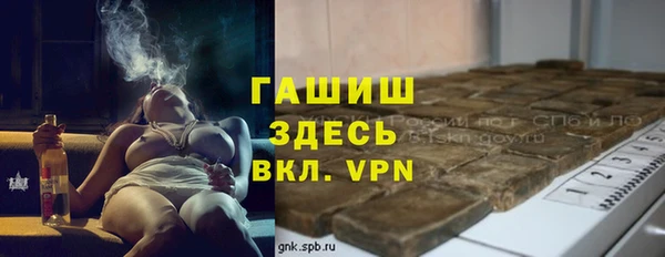 индика Анива