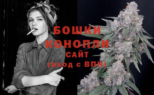сатива Коряжма