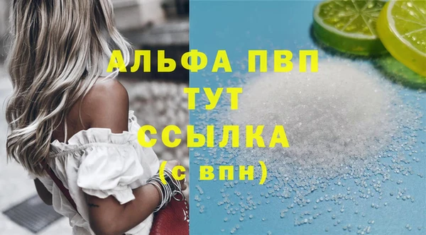 сатива Коряжма