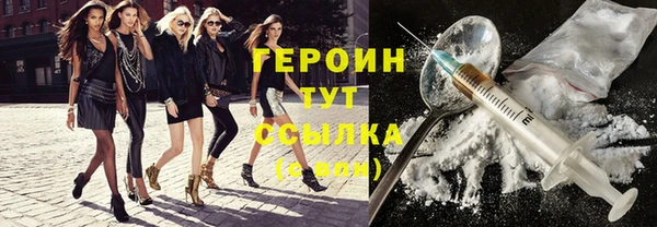 сатива Коряжма