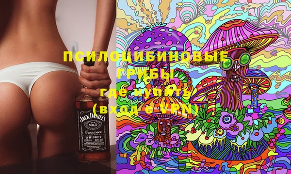 индика Анива