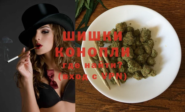 стафф Корсаков