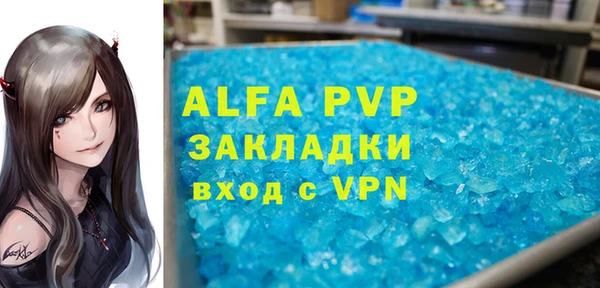 индика Анива
