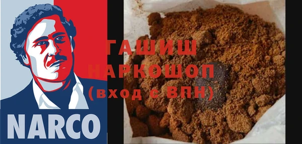 индика Анива