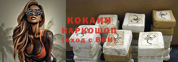 стафф Корсаков