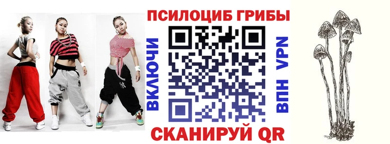 Галлюциногенные грибы Magic Shrooms  Купить  Верхняя Тура 